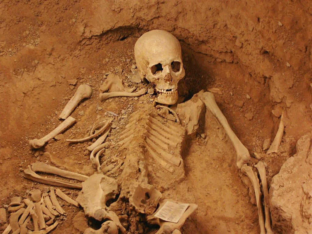 The-Iron-Age-Museum-in-Tabriz-2