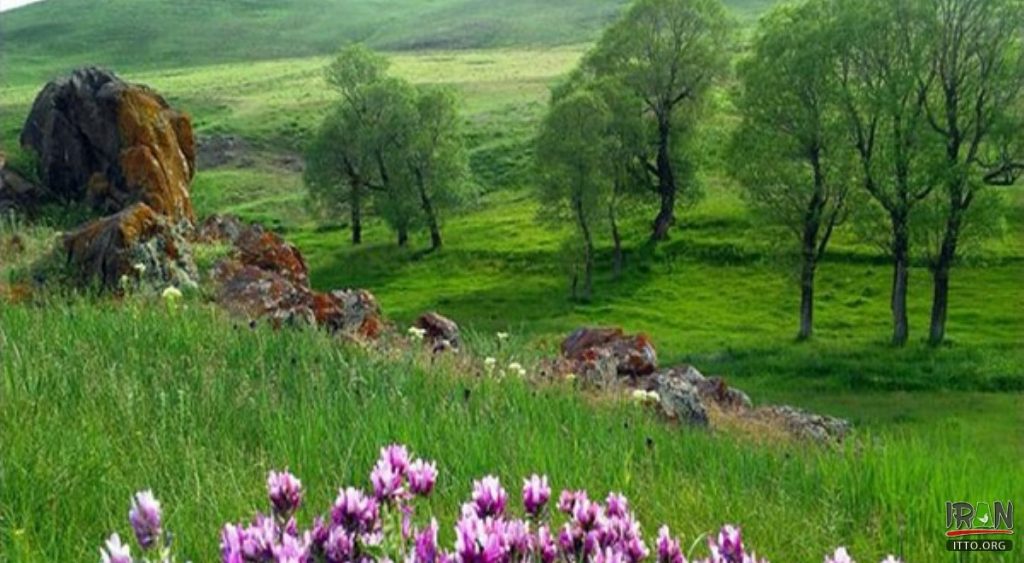 18131011502336iuajjohd