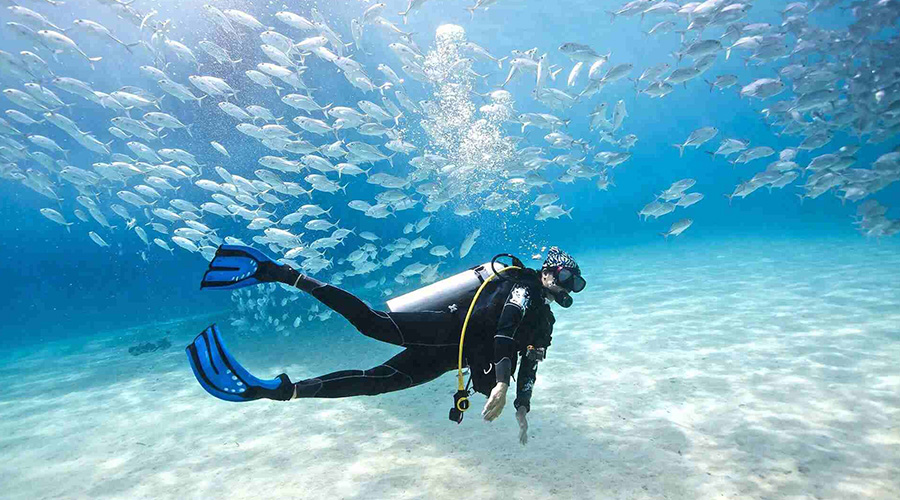 بهترین زمان سفر به کیش بهترین زمان سفر به کیش