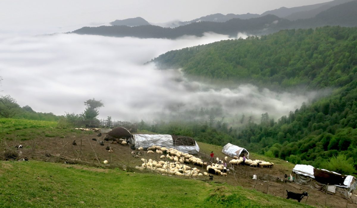 goingIRAN-Masal-1